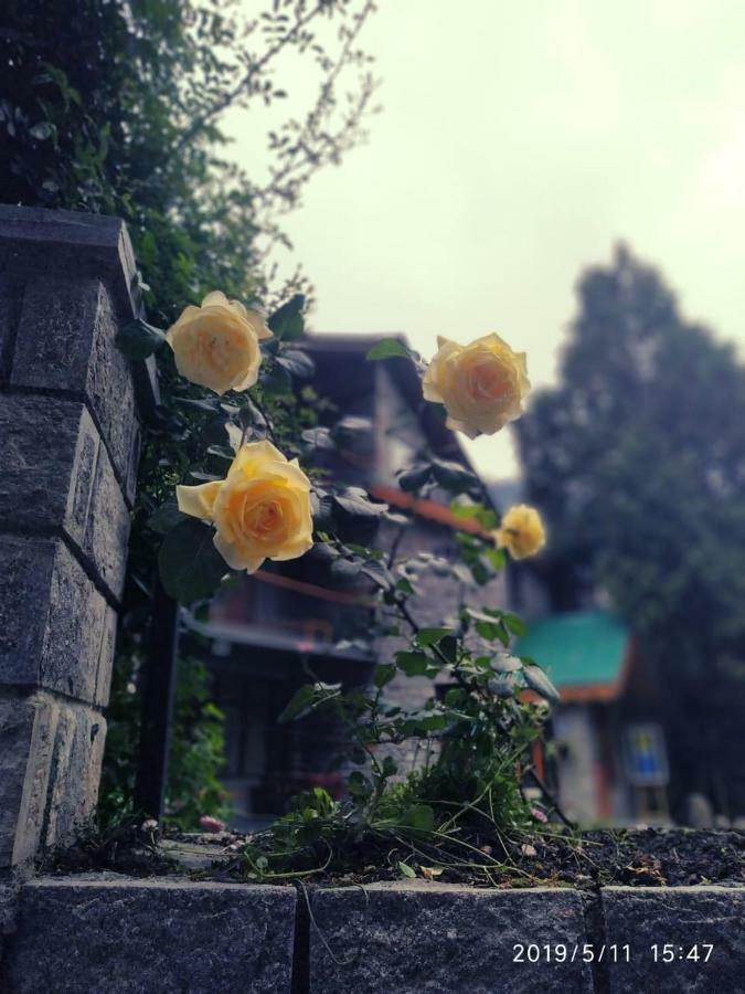 Johnson Lodge & Spa Manali  Exterior photo